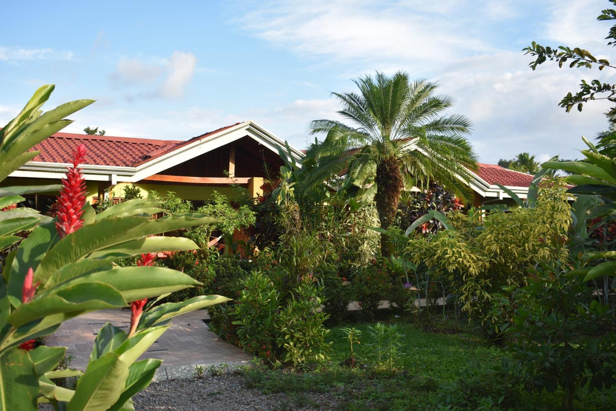 Hotel Roca Negra Del Arenal Ла Фортуна Номер фото